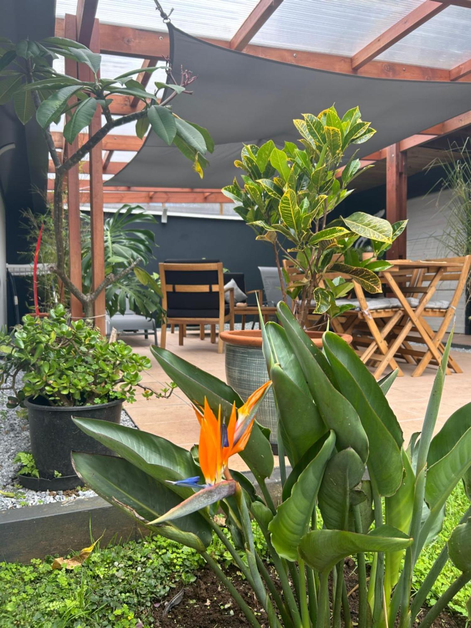 Vulkan'O La Plaine des Cafres Extérieur photo